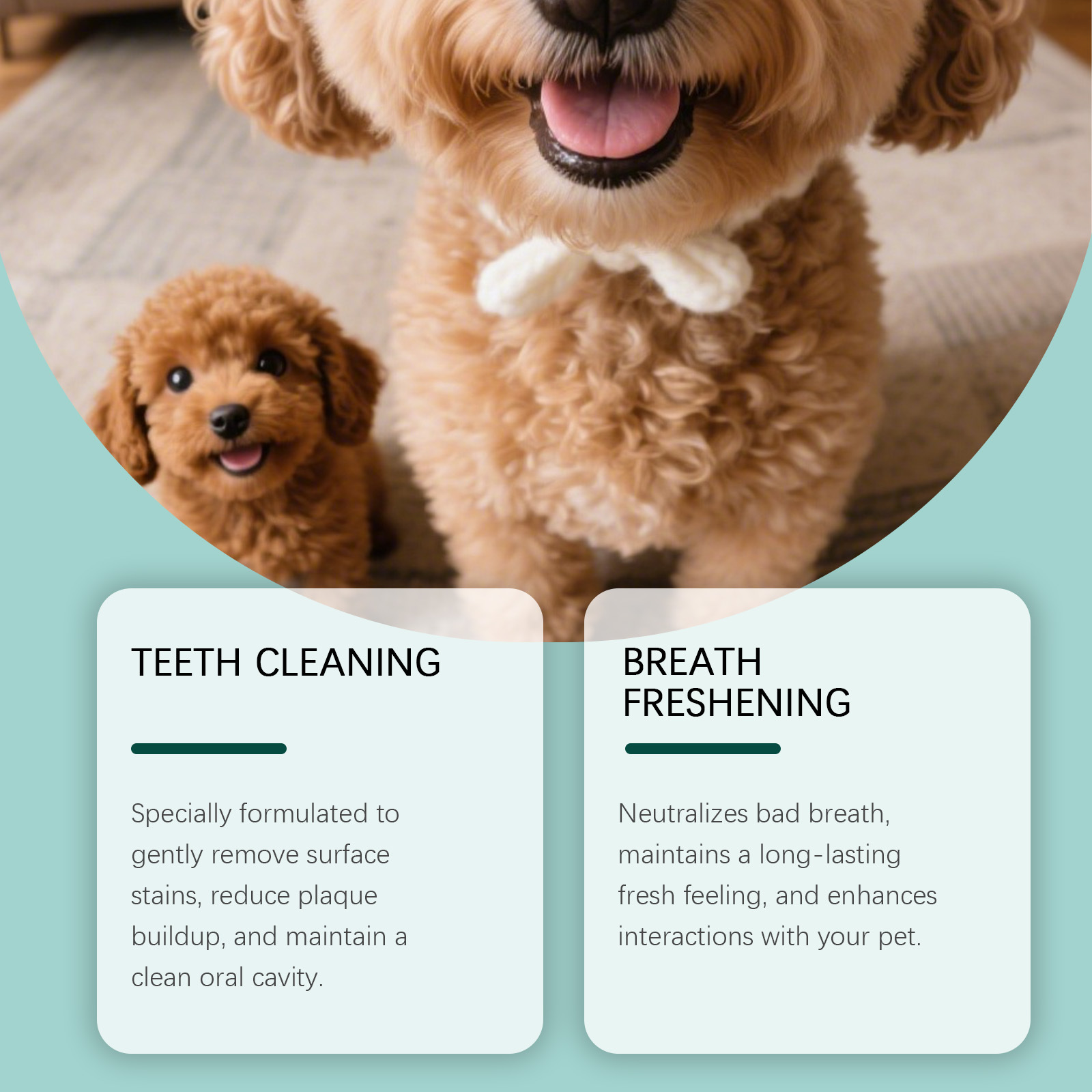 Tandpoeder voor honden, verwij - Teeth Whitening Powder recensie en prijs