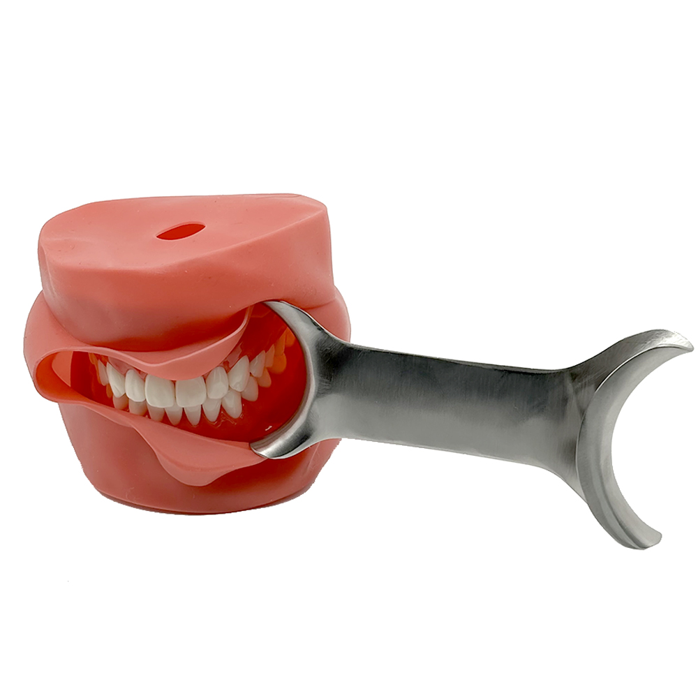 3 stks Autoclaveerbare T-vormi - Teeth Whitening For Photos recensie en prijs